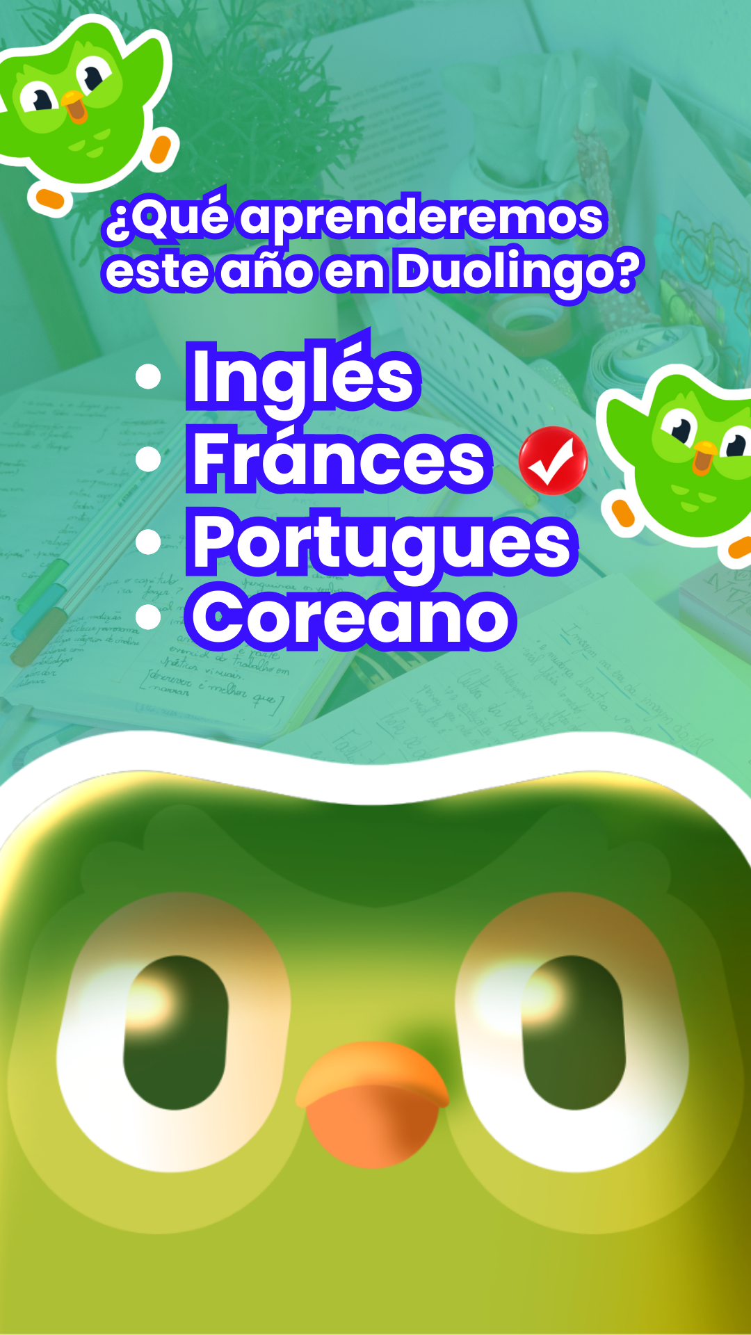 What Makes Duolingo Special?